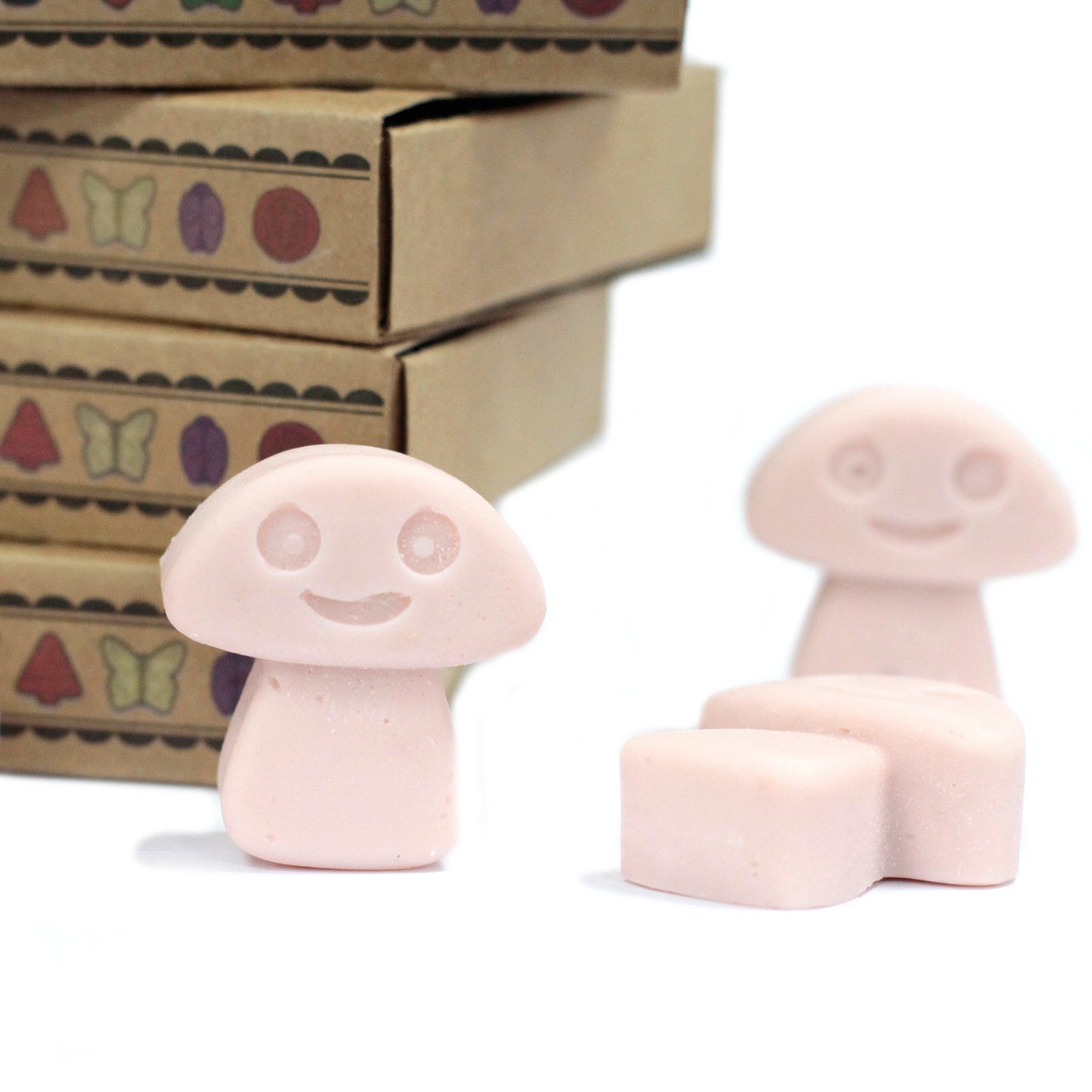 Luxury Soy Wax Melts (Box of 6) - ShopGreenToday