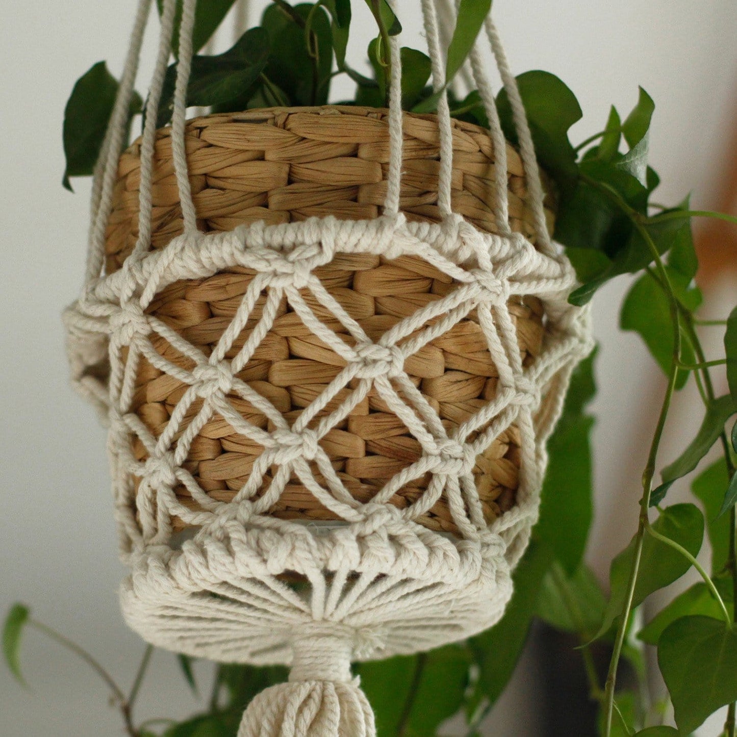 Macrame Pot Holders - Various Styles - ShopGreenToday