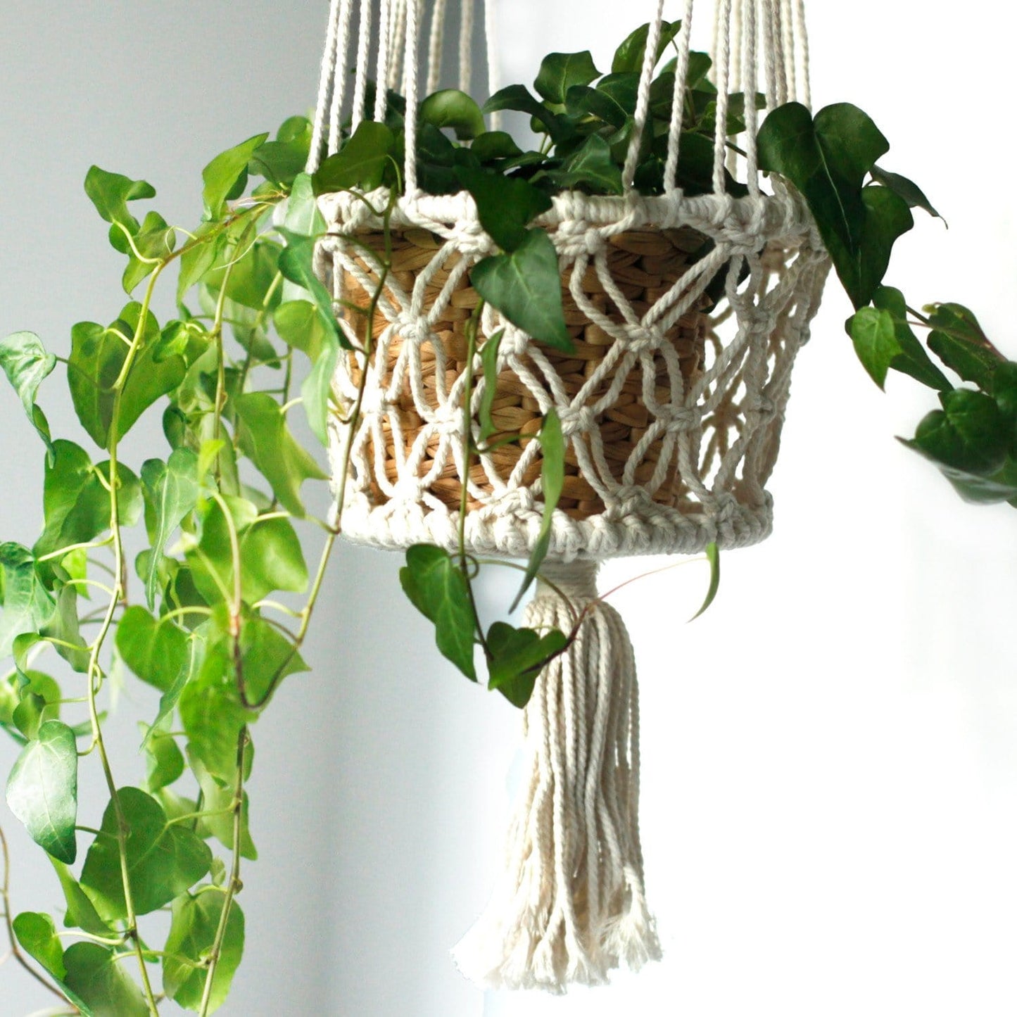 Macrame Pot Holders - Various Styles - ShopGreenToday