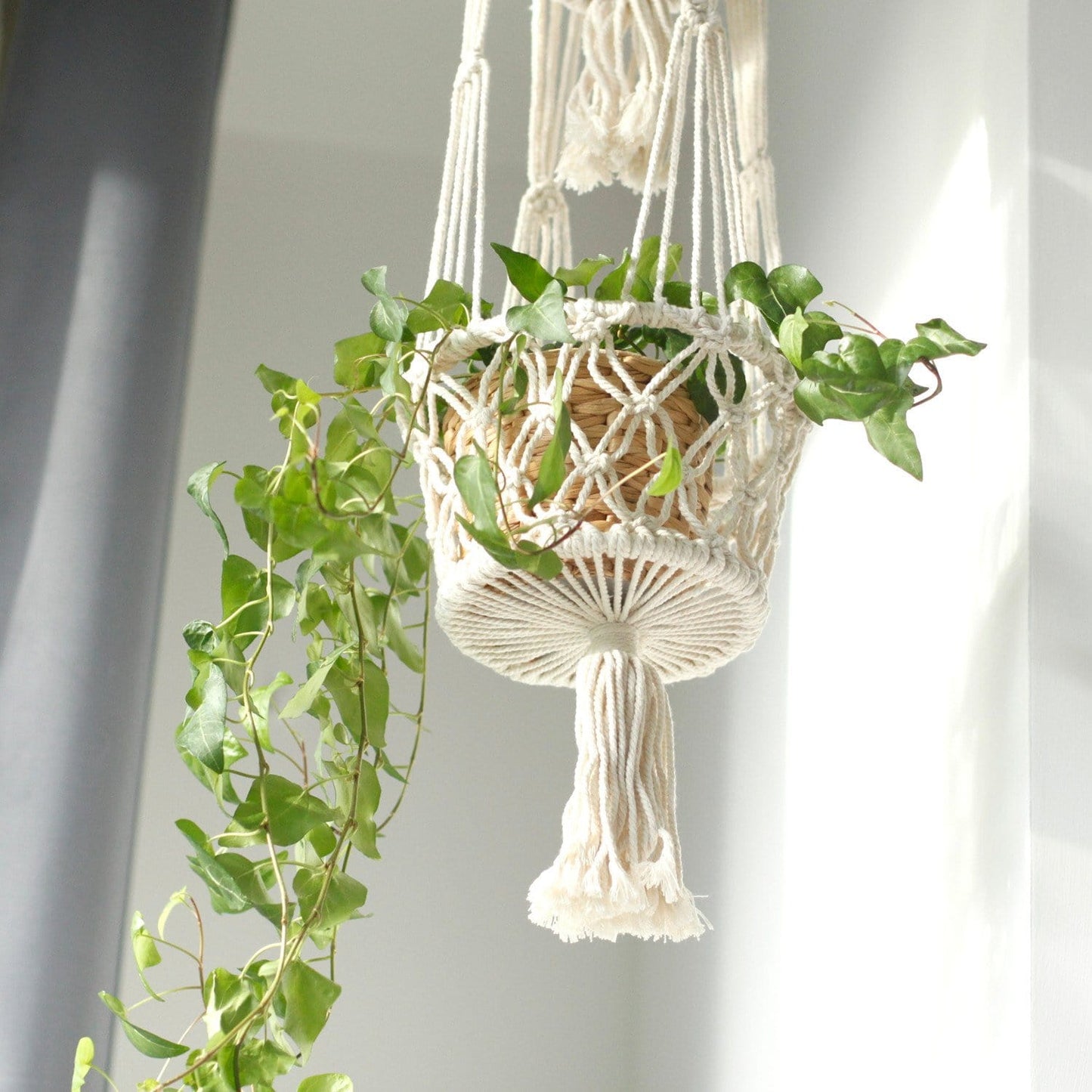 Macrame Pot Holders - Various Styles - ShopGreenToday