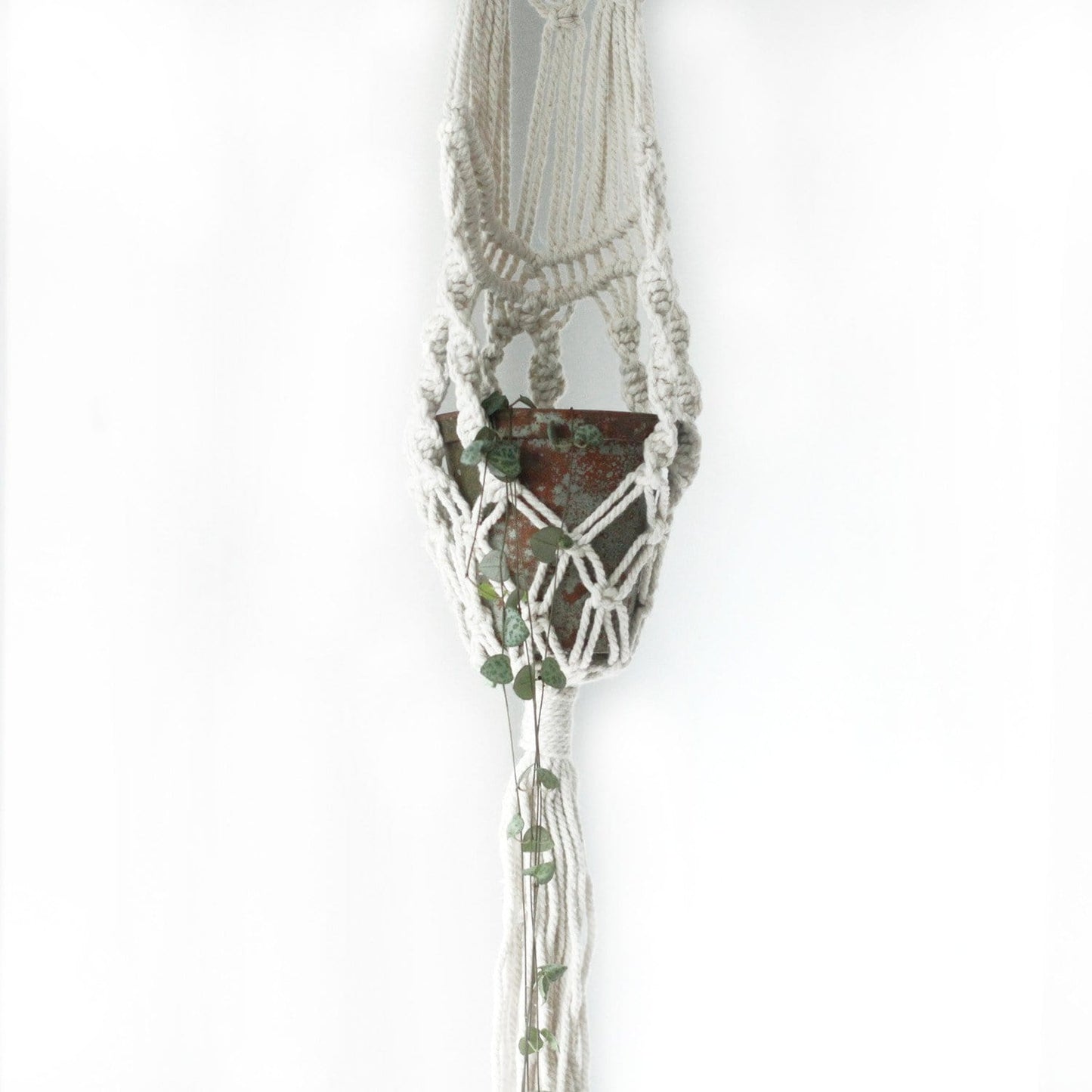 Macrame Pot Holders - Various Styles - ShopGreenToday