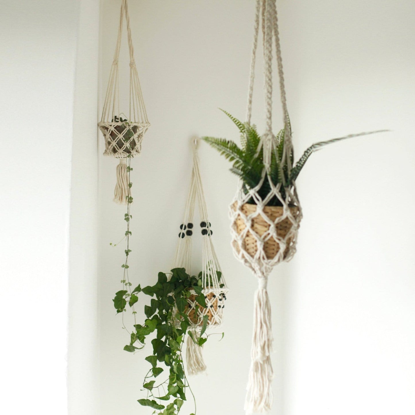 Macrame Pot Holders - Various Styles - ShopGreenToday
