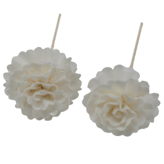 12 x Natural Diffuser Flowers on Reed - ShopGreenToday