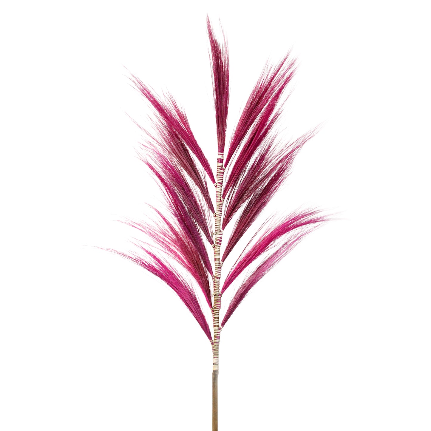 3 x Rayung Grass Pink- 1.6m