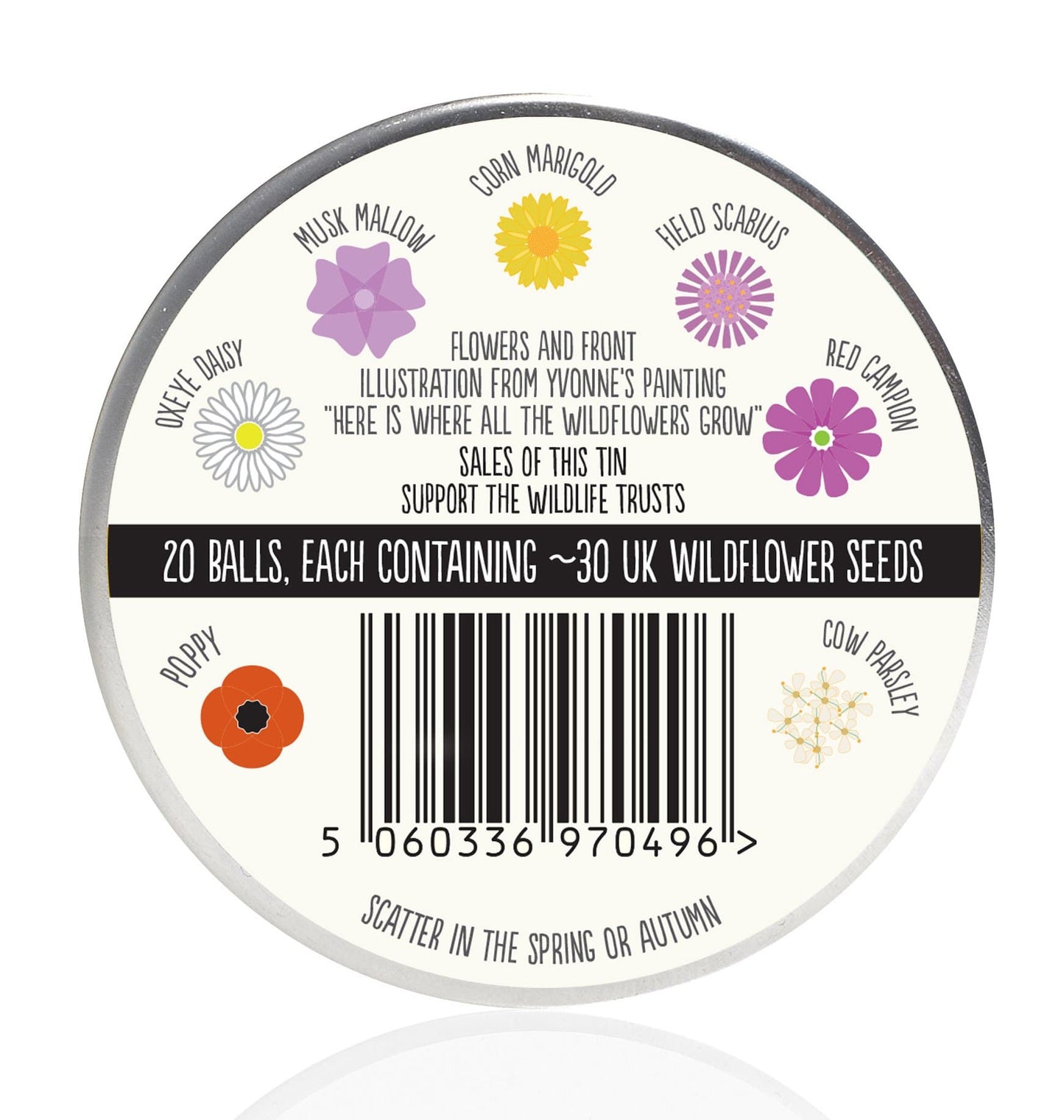 Artist's Meadow Seedball Tin - ShopGreenToday