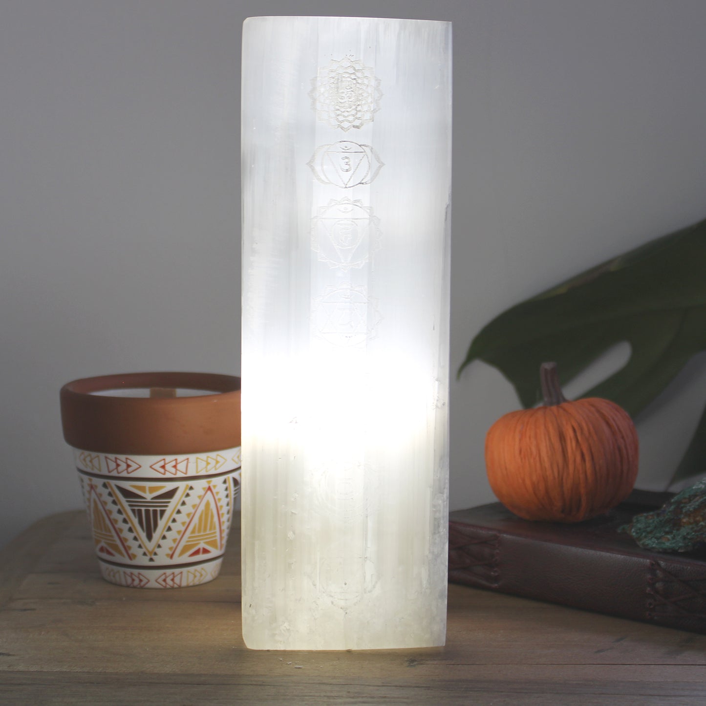 Natural Selenite Block Lamp