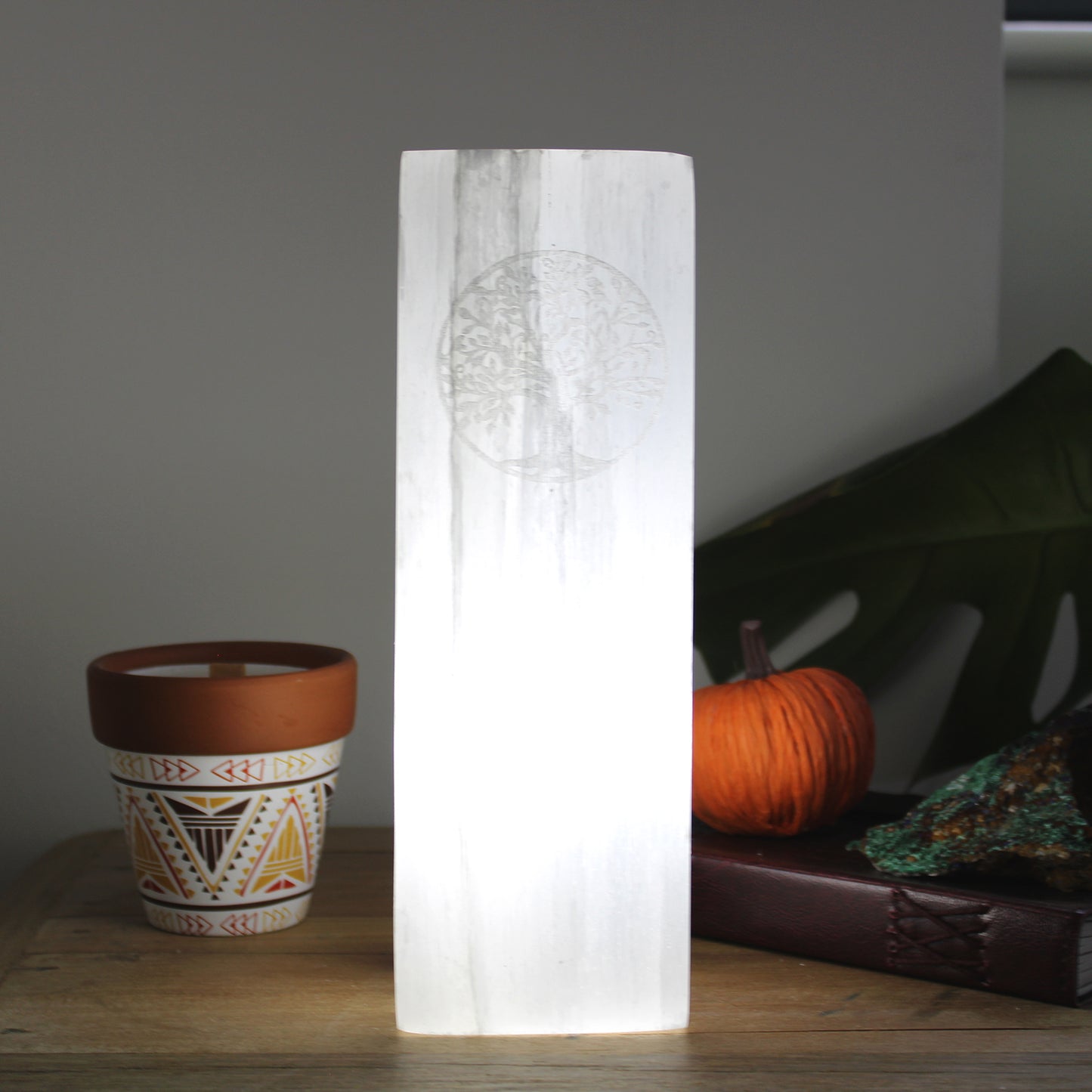 Natural Selenite Block Lamp
