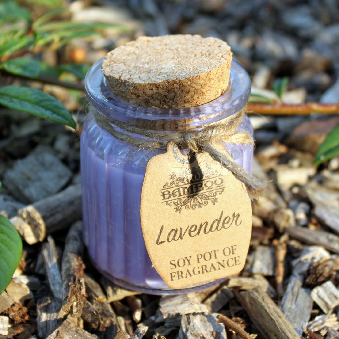 Soy Pot of Fragrance Candle (Set of 2) - ShopGreenToday