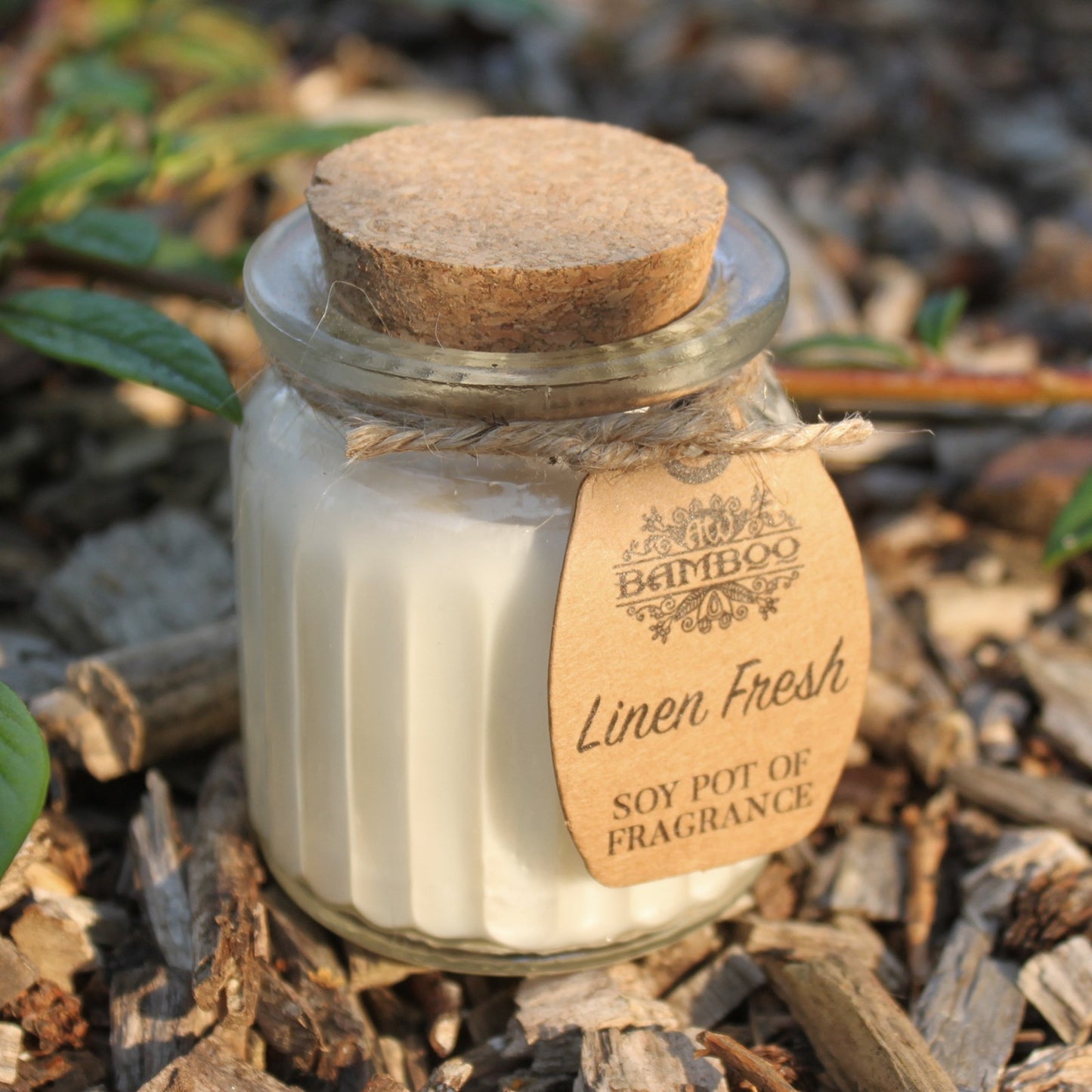 Soy Pot of Fragrance Candle (Set of 2) - ShopGreenToday