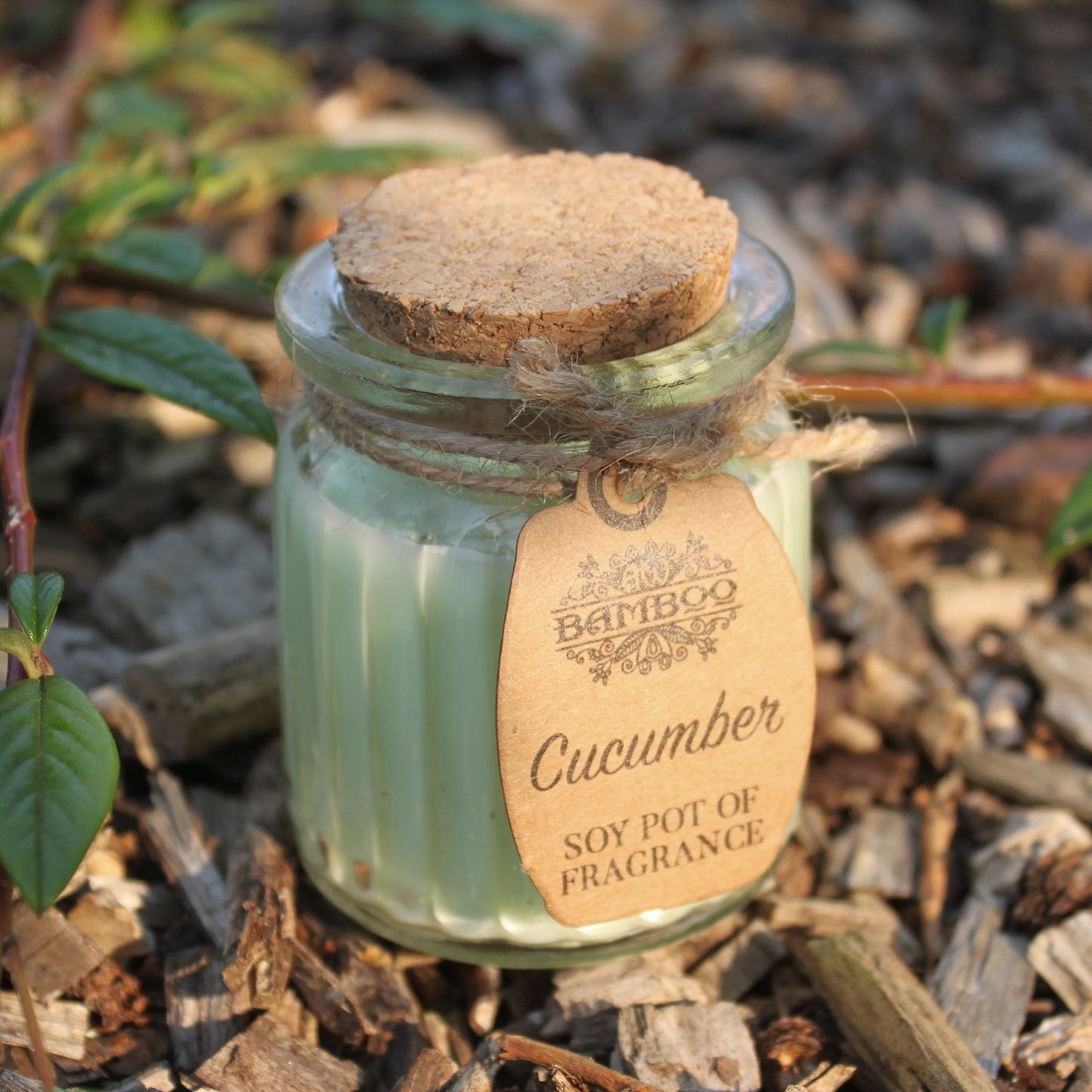 Soy Pot of Fragrance Candle (Set of 2) - ShopGreenToday