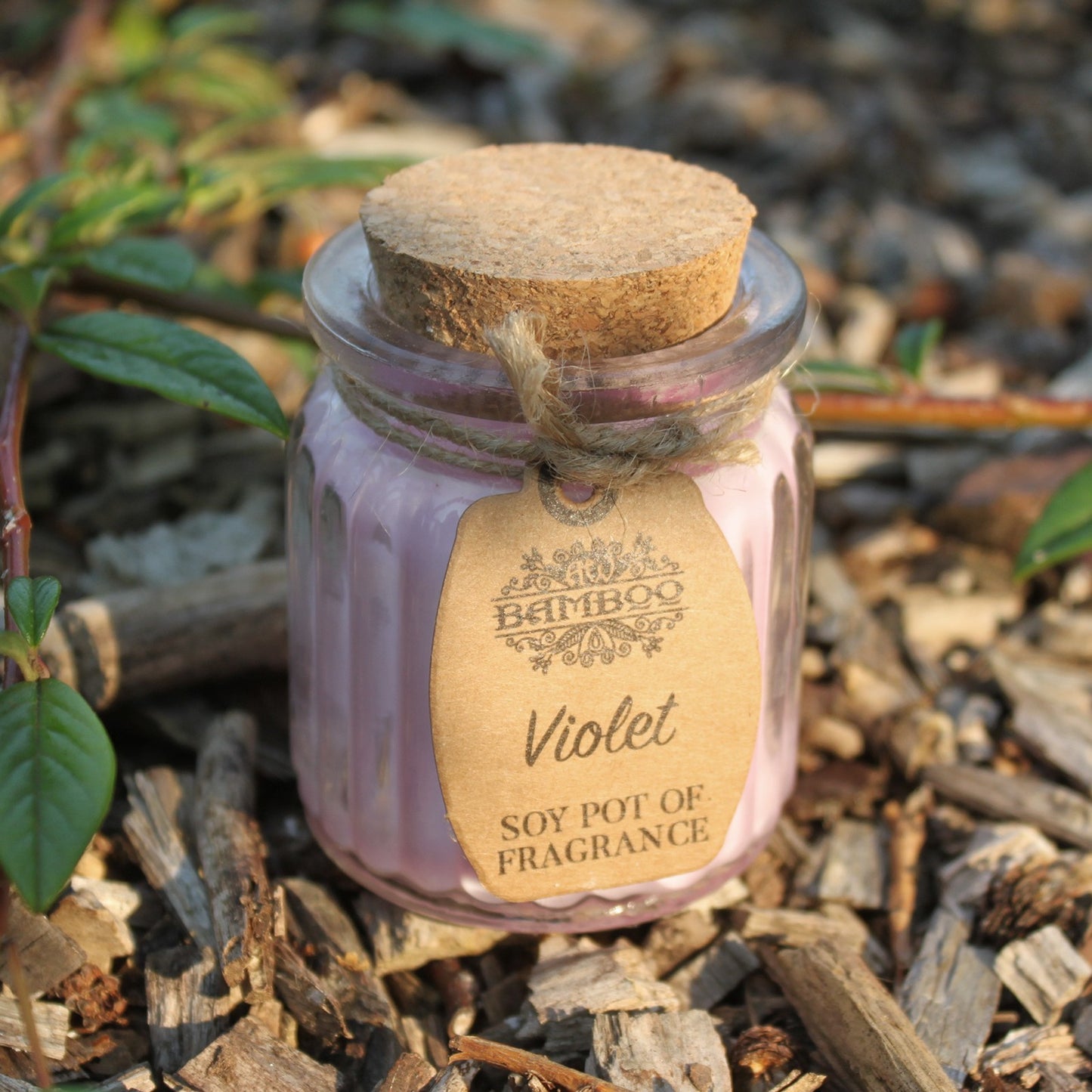 Soy Pot of Fragrance Candle (Set of 2) - ShopGreenToday