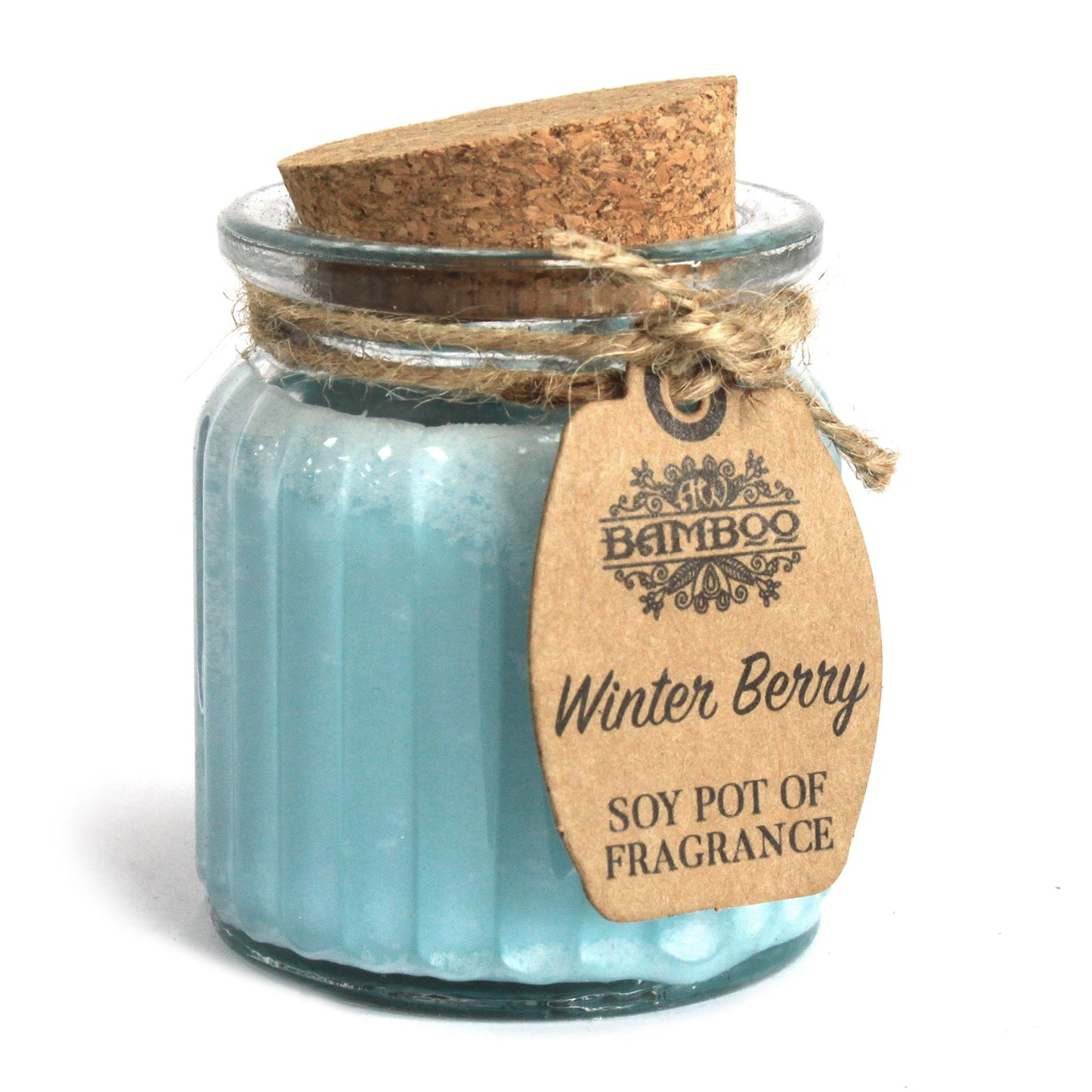 Soy Pot of Fragrance Candle (Set of 2) - ShopGreenToday