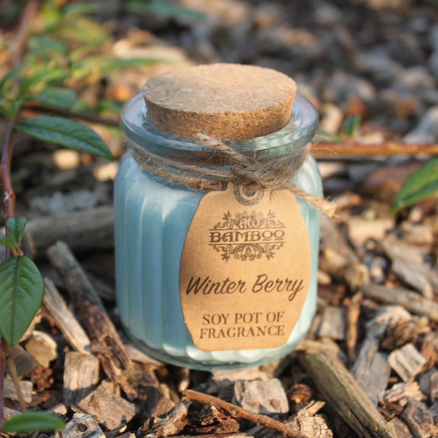Soy Pot of Fragrance Candle (Set of 2) - ShopGreenToday