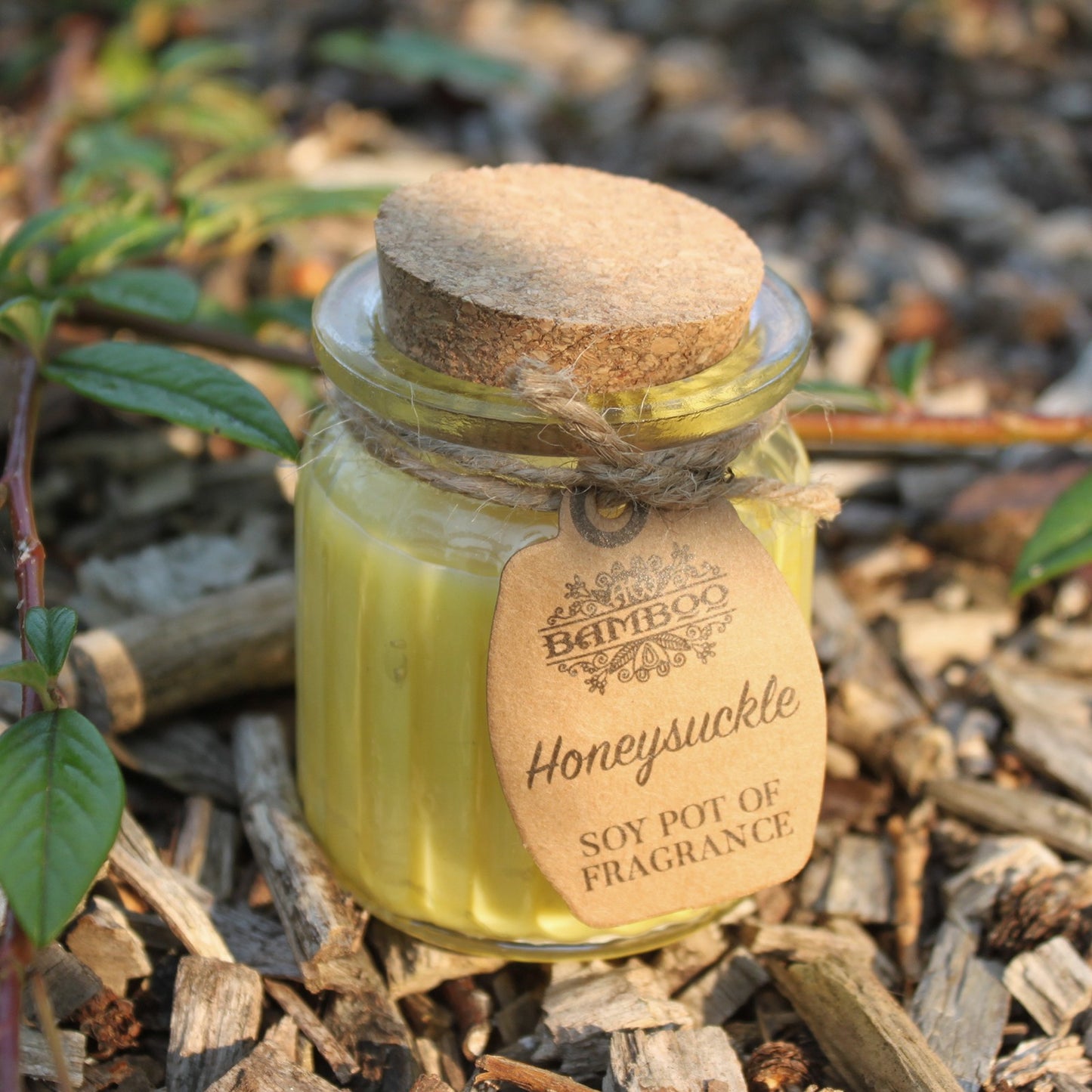 Soy Pot of Fragrance Candle (Set of 2) - ShopGreenToday