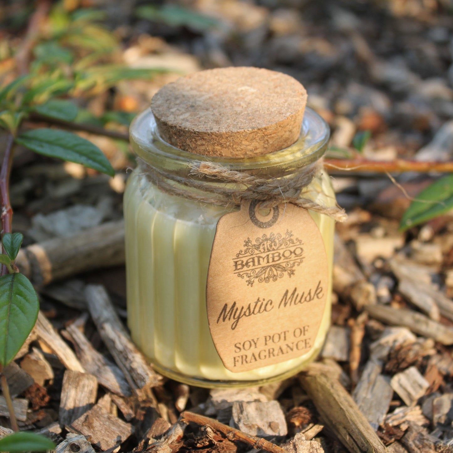 Soy Pot of Fragrance Candle (Set of 2) - ShopGreenToday