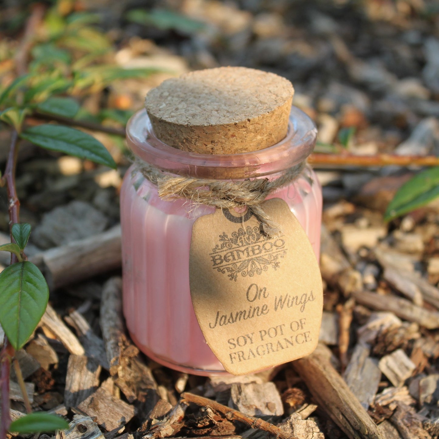 Soy Pot of Fragrance Candle (Set of 2) - ShopGreenToday