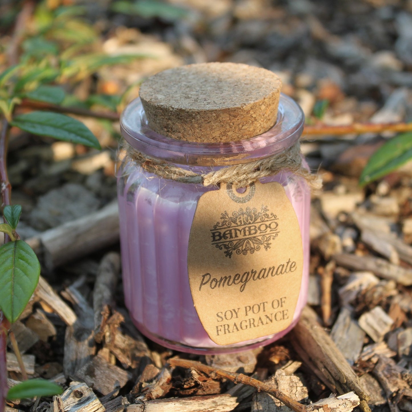 Soy Pot of Fragrance Candle (Set of 2) - ShopGreenToday