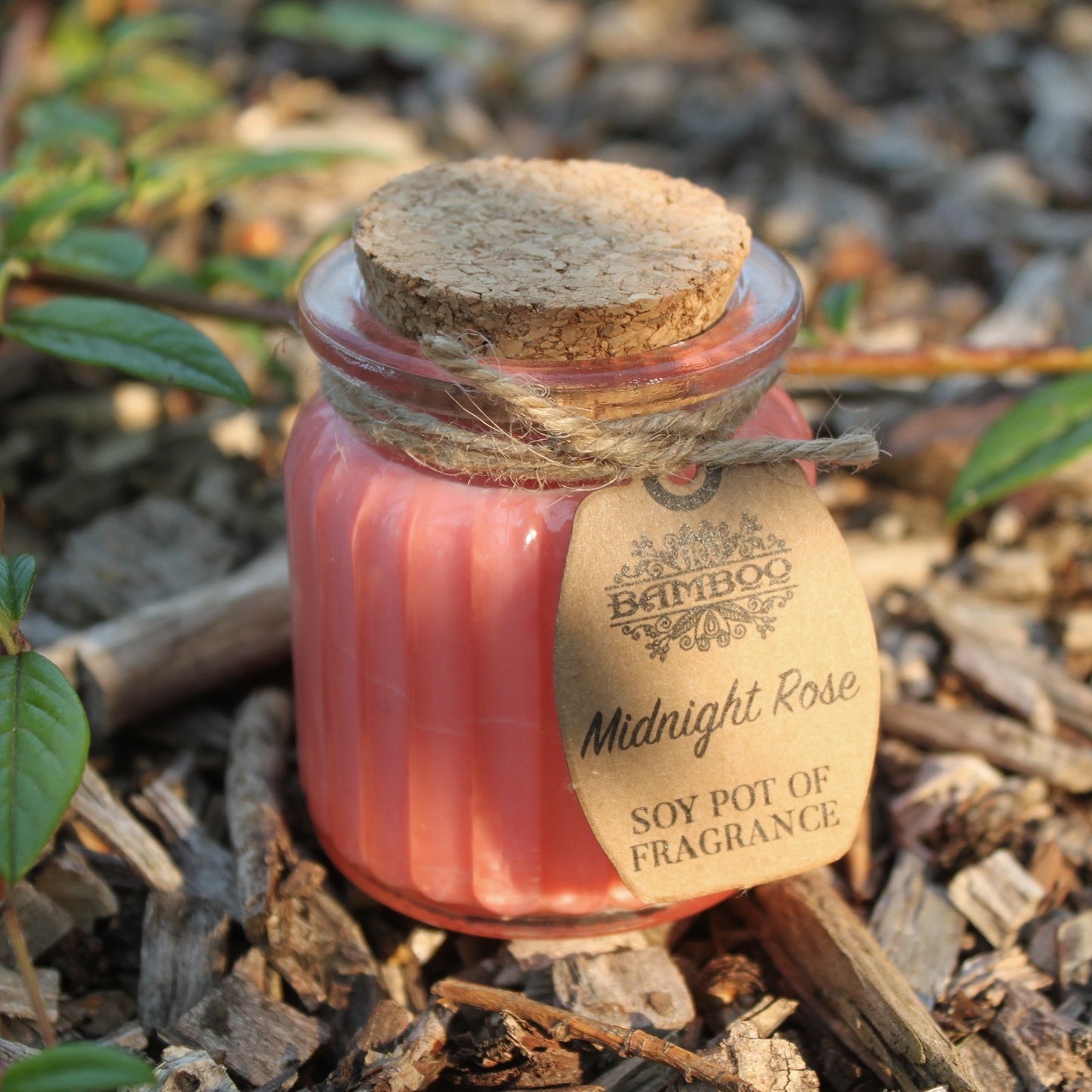 Soy Pot of Fragrance Candle (Set of 2) - ShopGreenToday