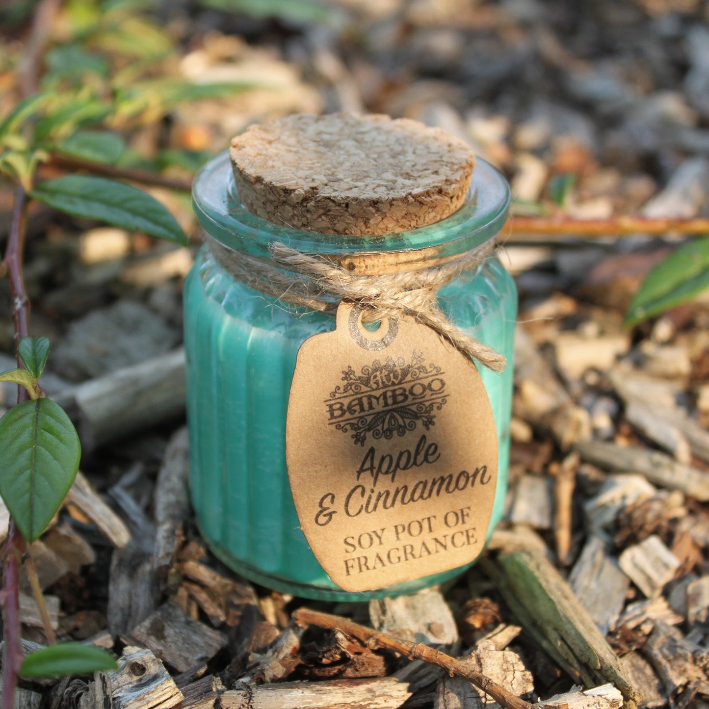 Soy Pot of Fragrance Candle (Set of 2) - ShopGreenToday