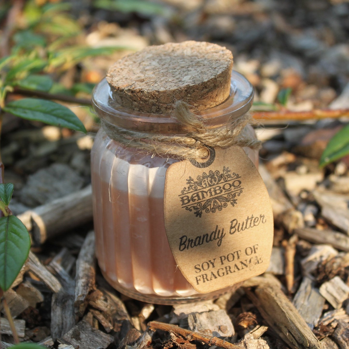 Soy Pot of Fragrance Candle (Set of 2) - ShopGreenToday