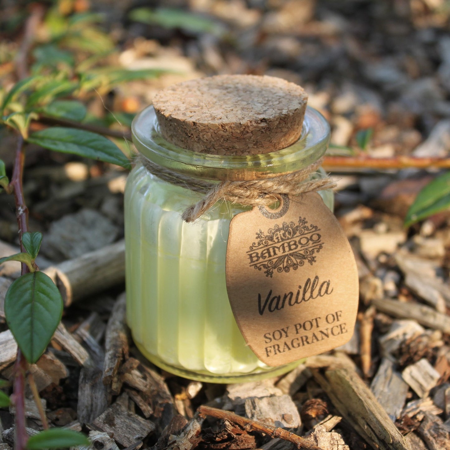 Soy Pot of Fragrance Candle (Set of 2) - ShopGreenToday