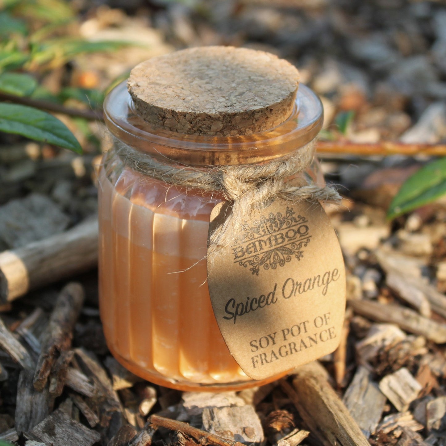Soy Pot of Fragrance Candle (Set of 2) - ShopGreenToday