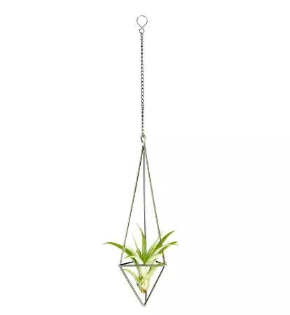 Geometric Bronzed Iron Air Plant Holder - ShopGreenToday