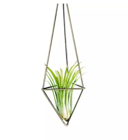 Geometric Bronzed Iron Air Plant Holder - ShopGreenToday