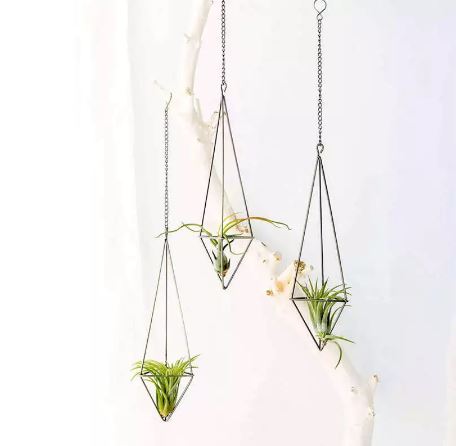 Geometric Bronzed Iron Air Plant Holder - ShopGreenToday