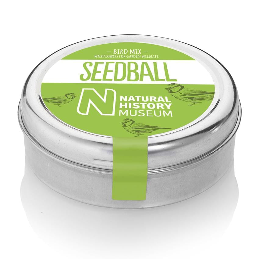 Bird Mix Seedball Tin - ShopGreenToday