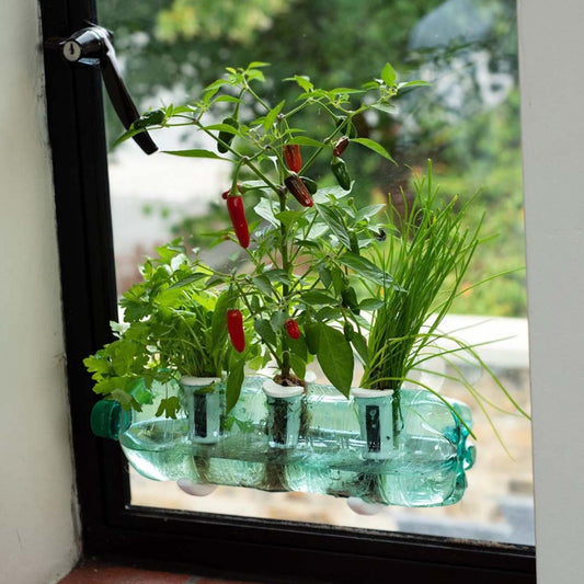 Bottle Farm Indoor Herb Garden