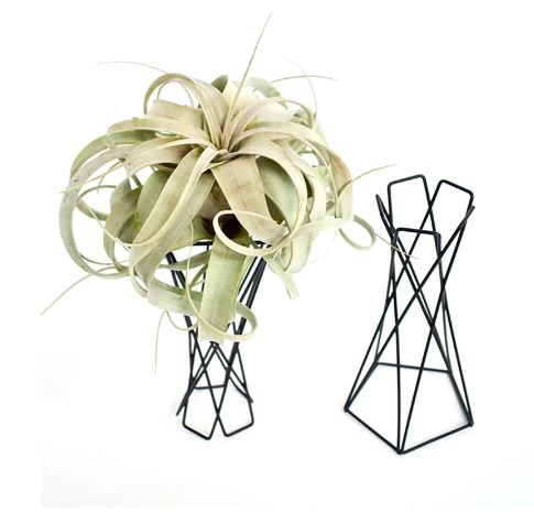 Tall Nordic Style Geometric Air Plant Holder - ShopGreenToday