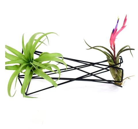 Tall Nordic Style Geometric Air Plant Holder - ShopGreenToday