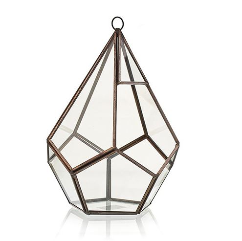 Brass & Glass Terrarium Collection - ShopGreenToday