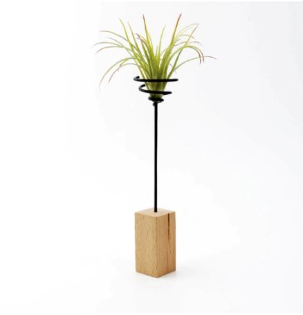 Air Plant Display Stand with Wooden Base - ShopGreenToday