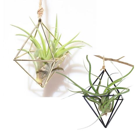 Pastoral Style Geometric Air Plant Holder - ShopGreenToday