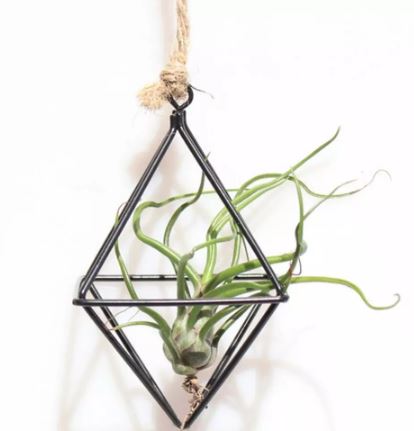 Pastoral Style Geometric Air Plant Holder - ShopGreenToday