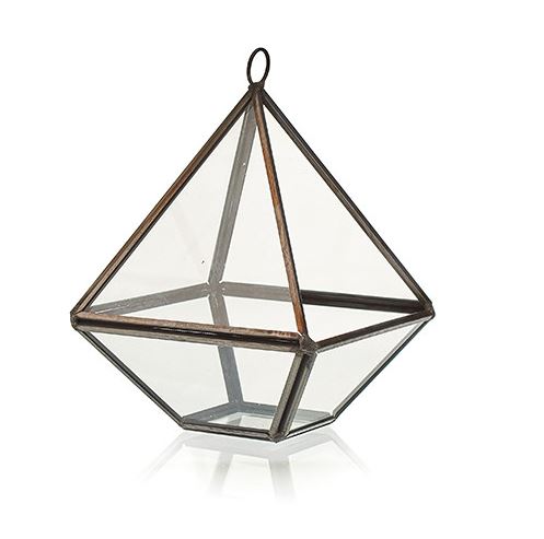 Brass & Glass Terrarium Collection - ShopGreenToday