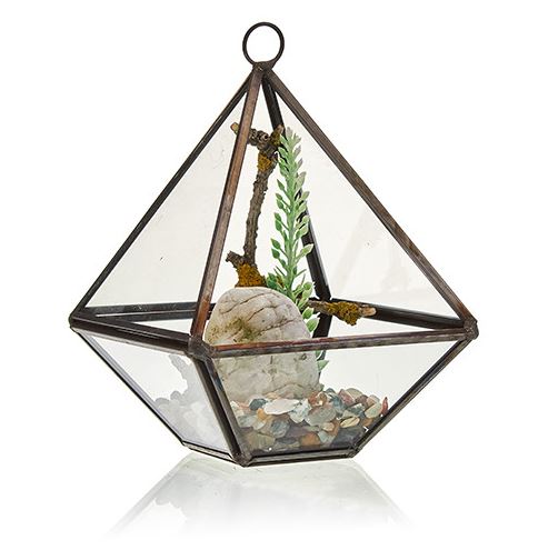 Brass & Glass Terrarium Collection - ShopGreenToday