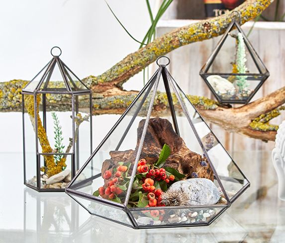 Brass & Glass Terrarium Collection - ShopGreenToday