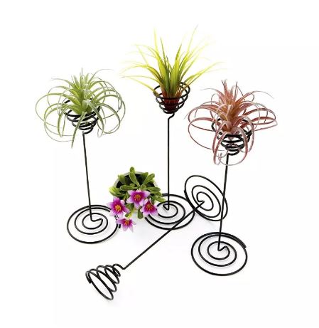 Air Plant Stand - Tall, Black - ShopGreenToday