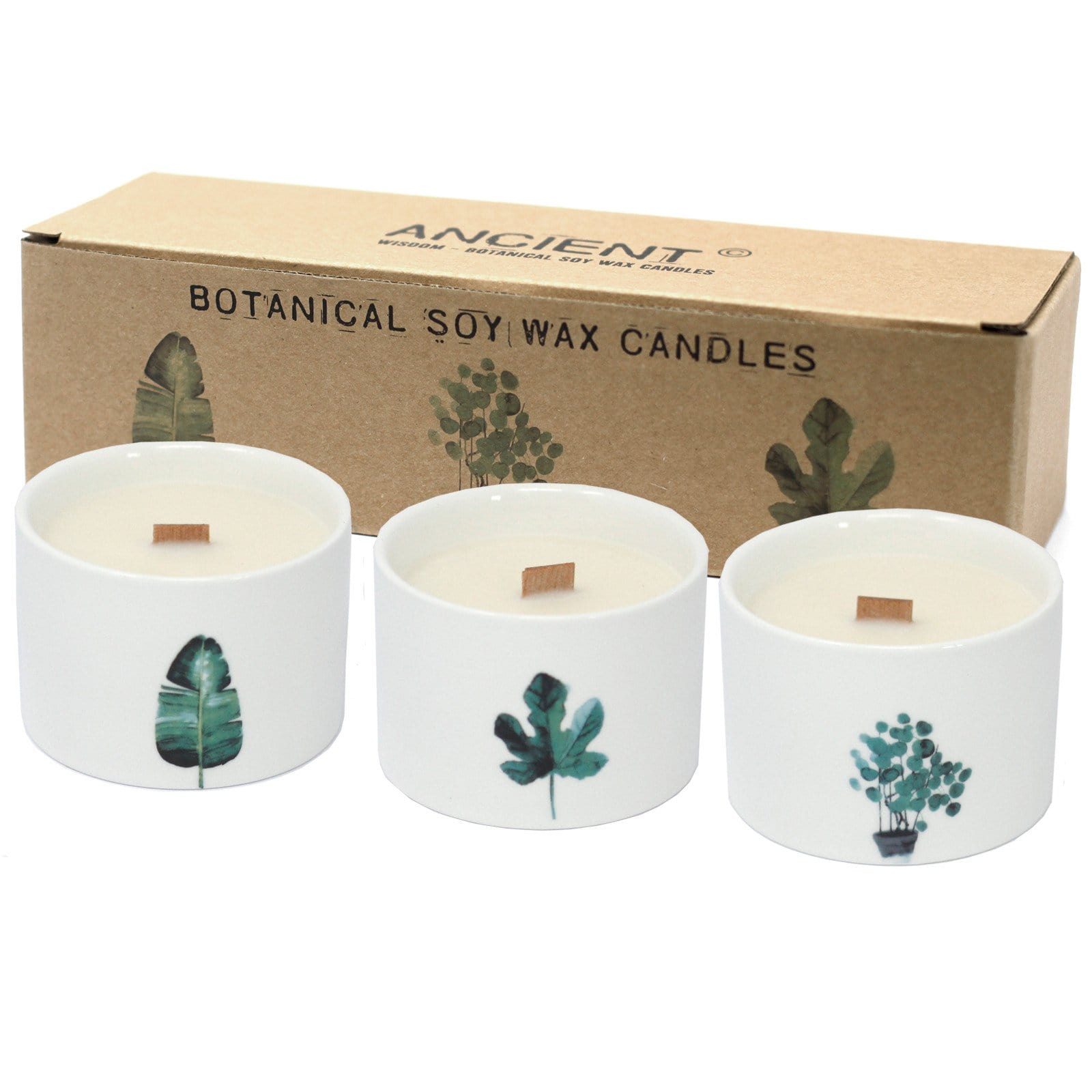 Botanical Wooden Wick Soy Candles - ShopGreenToday