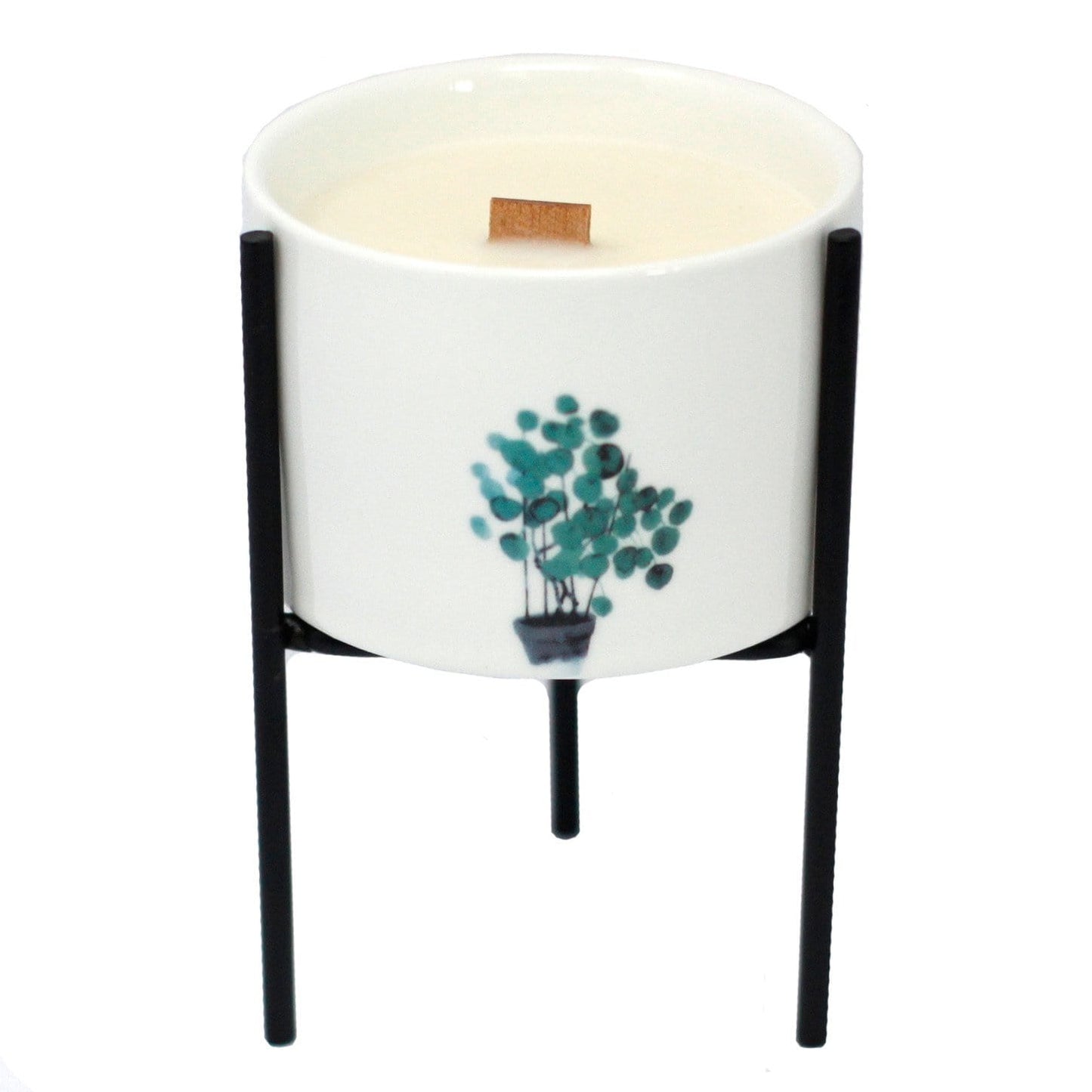 Botanical Wooden Wick Soy Candles - ShopGreenToday