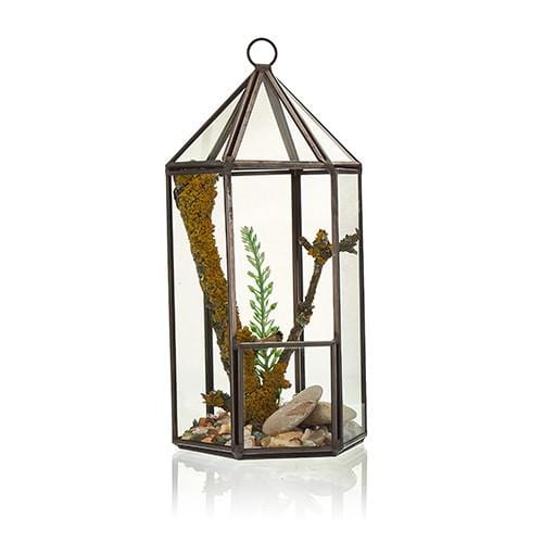 Brass & Glass Terrarium Collection - ShopGreenToday