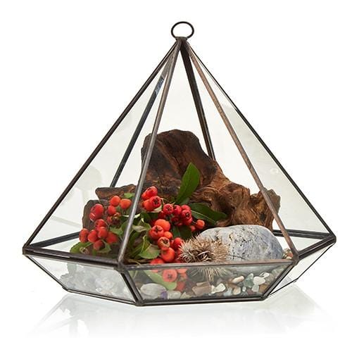 Brass & Glass Terrarium Collection - ShopGreenToday