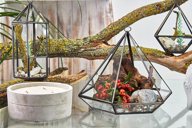 Brass & Glass Terrarium Collection - ShopGreenToday