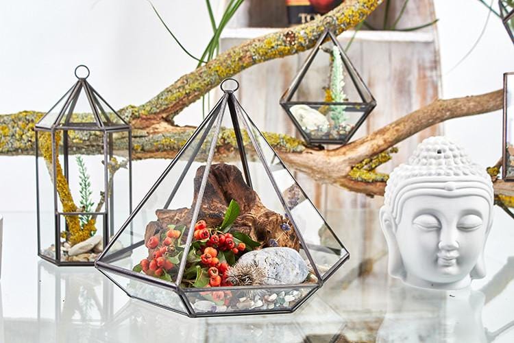 Brass & Glass Terrarium Collection - ShopGreenToday