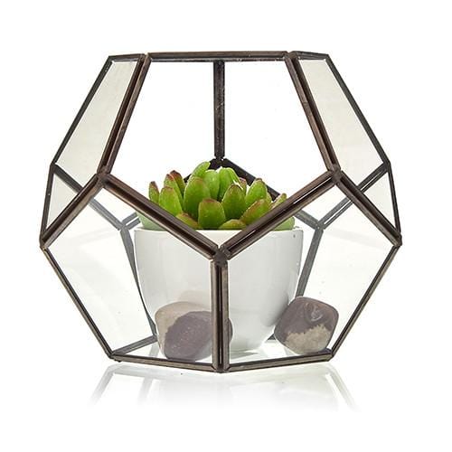 Brass & Glass Terrarium Collection - ShopGreenToday