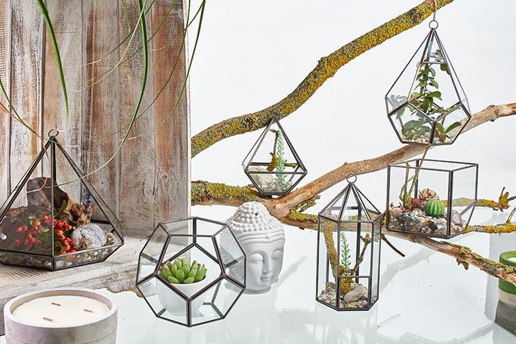 Brass & Glass Terrarium Collection - ShopGreenToday