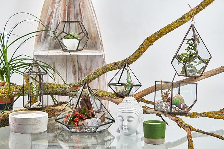 Brass & Glass Terrarium Collection - ShopGreenToday